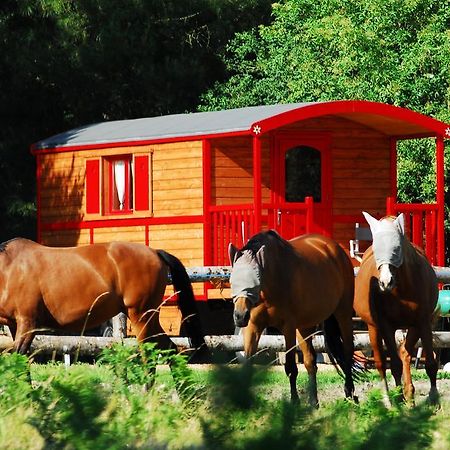 Gypsy Nature B&B Jumelles  Zimmer foto